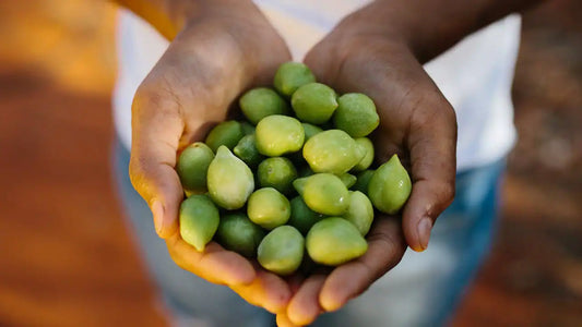 KAKADU PLUM (OUR HERO)